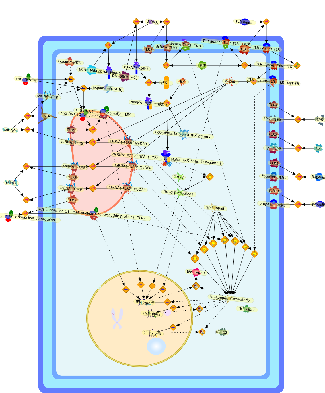 pathway image