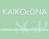 KAIKOcDNA