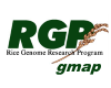 RGP gmap