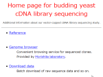 Budding yeast cDNA sequencing project