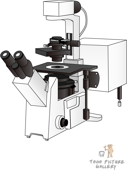 共焦点レーザ走査型顕微鏡