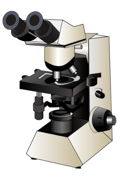 正立顕微鏡
