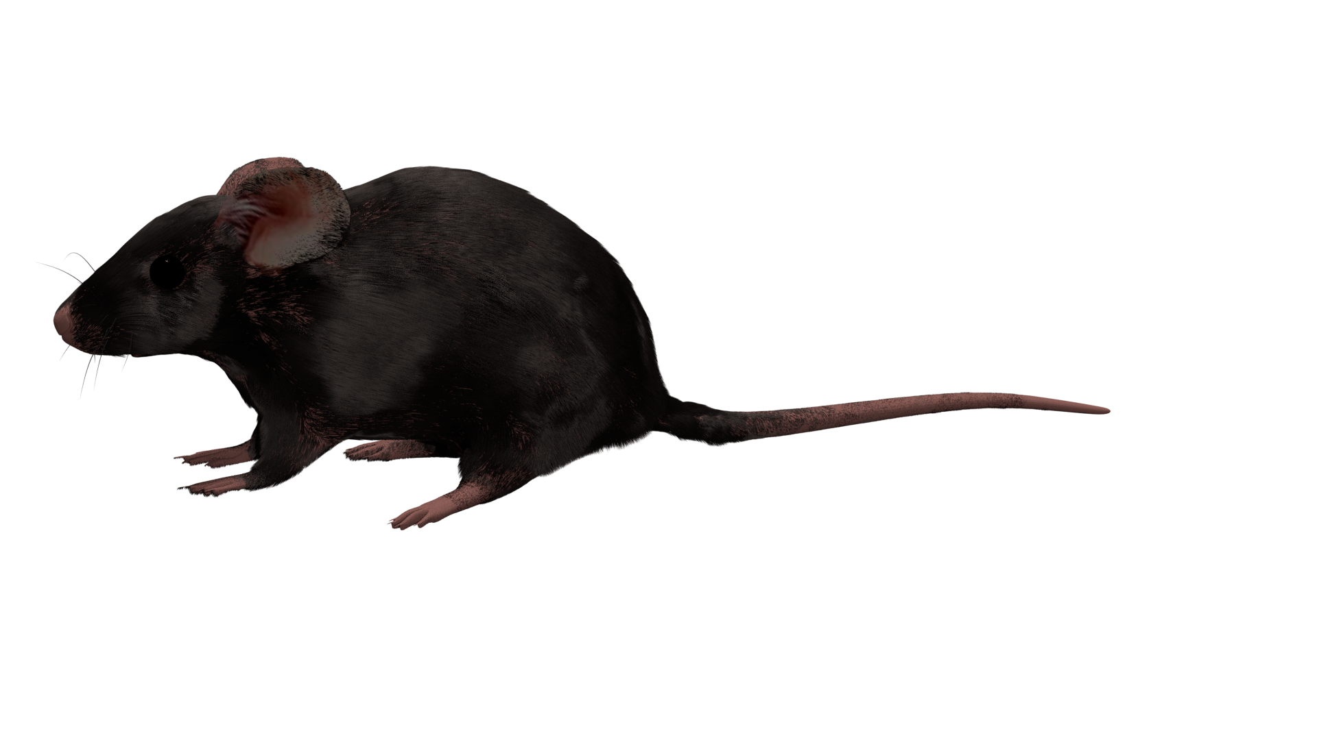 マウス(黒/3D)