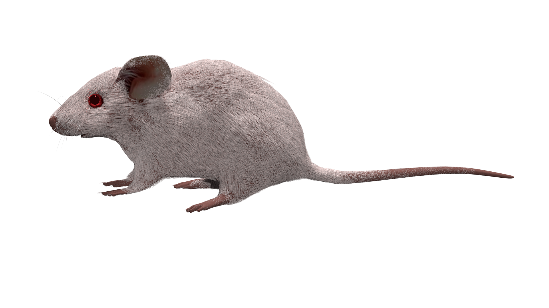 マウス(白/3D)