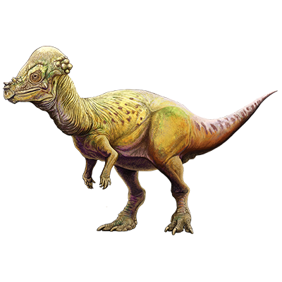 パキケファロサウルス (生体復元図)