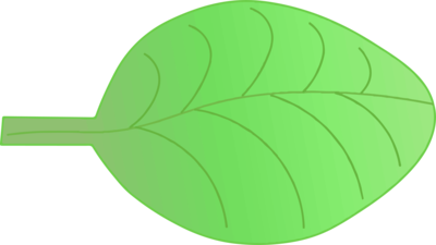 Leaf Dicot Togotv