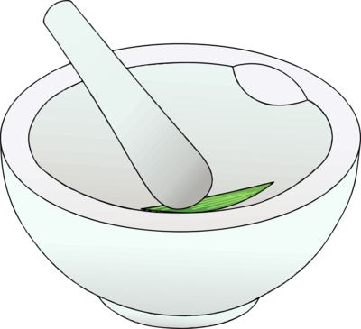 乳鉢と単子葉類