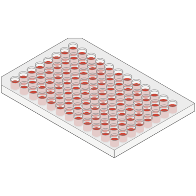Cell Culture Plate Size 6 Wells Togotv