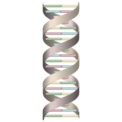 DNA(アースカラー)