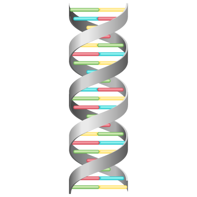 DNA(グレー)