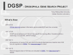 DGSP Database - Drosophila Gene Search Project Database