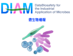 DIAM - 微生物情報