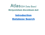 Atlas (ISH Data Base)