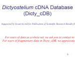 Dicty_cDB - Dictyostelium cDNA Database
