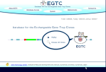 EGTC - Database for the Exchangeable Gene Trap Clones