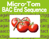 Micro-Tom BAC End Sequence Database